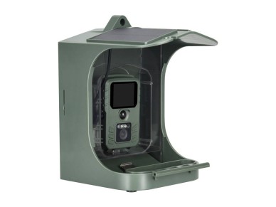 Cmera Suntek Alimentador de pssaros Cmera