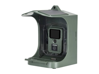Kamera Suntek Bird feeder Camera