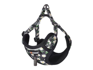 Dogness walking set leash 1,5m+harness for dog (multicolor)