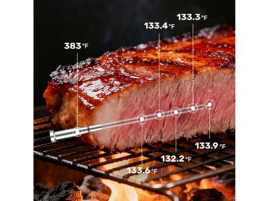 Meatmeet X Pro Kitchen Thermometer with Bluetooth/WiFi App for Grill, Oven, Smoker - Black